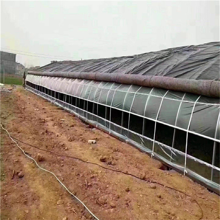 温室大棚骨架安装 蔬菜薄膜骨架报价 玻璃温室骨架 北方园艺温室