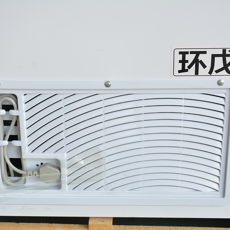 商用大冷柜节能冷柜定制豪华卧式冰柜厂家直销