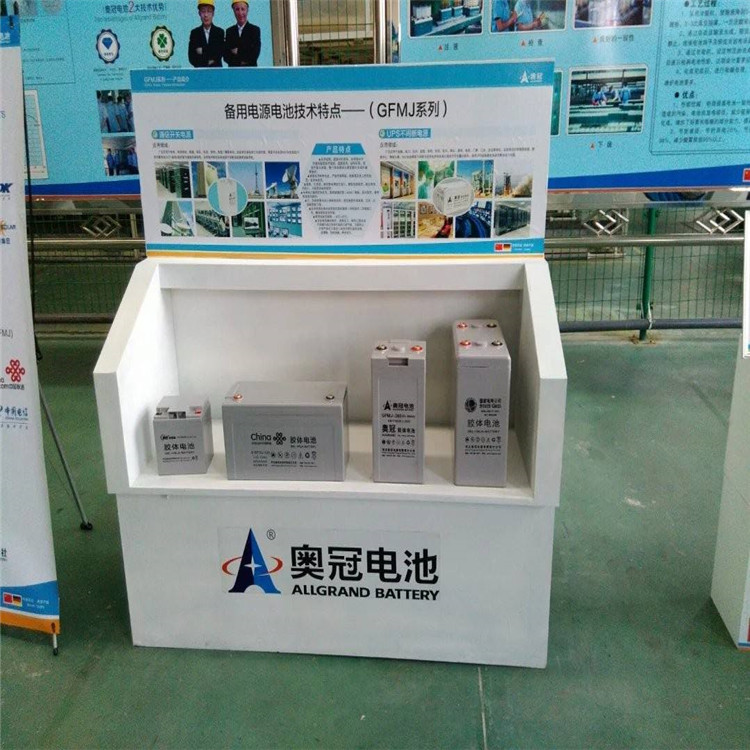 奥冠蓄电池6-GFM-24 免维护储能蓄电池12V24AH 直流屏 UPS蓄电池