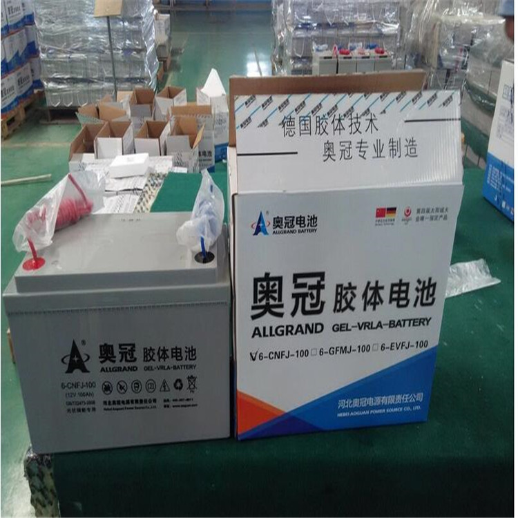 奥冠蓄电池6-GFM-100 储能胶体蓄电池12V100AH 太阳能免维护蓄电池