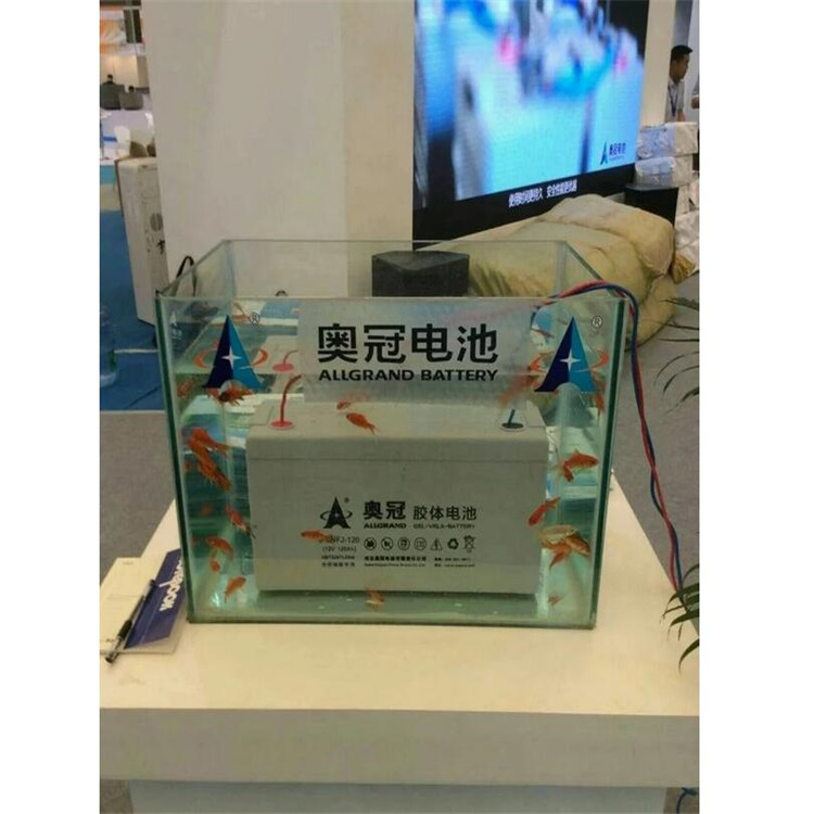 奥冠蓄电池6-GFM-150 胶体蓄电池12V150AH 储能蓄电池 阀控式固定型电池