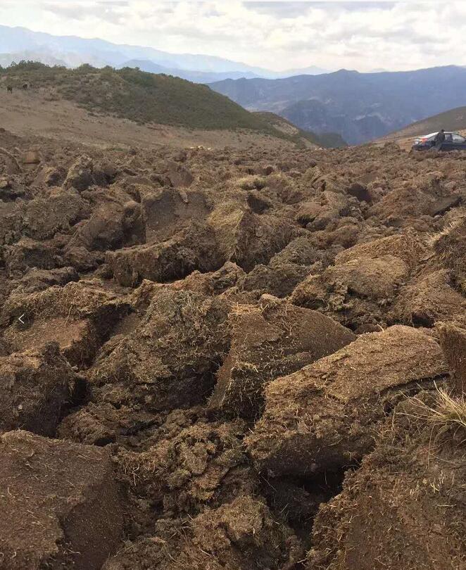 天然草炭土  越西草炭土销售批发 四川草炭土厂家直销
