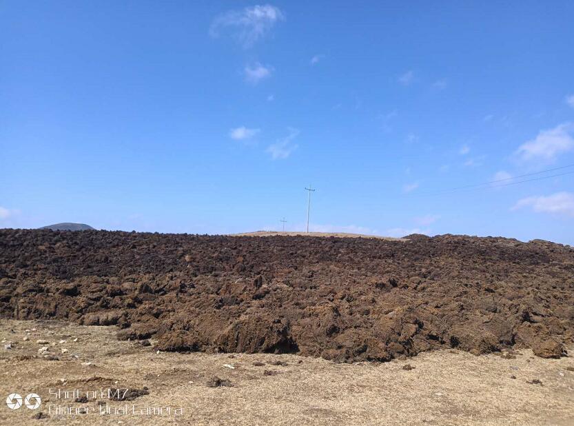 越西天然草炭土  贵州草炭土厂家直销  越西草炭土销售批发