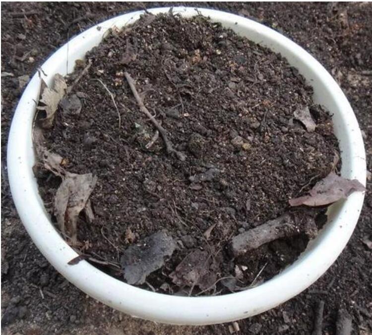 贵州腐殖土批发中心  贵州腐殖土厂家直销  贵州腐殖土销售批发