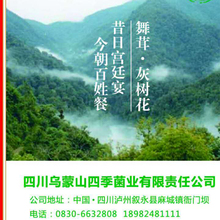 泸州特产干货灰树花 舞茸 食用菌干货产地直销 批发代发