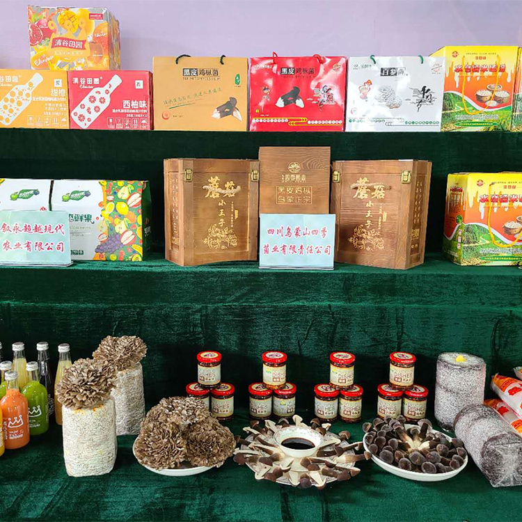 四川泸州灰树花 舞茸 中小朵形 灰树花干品 好质量批发