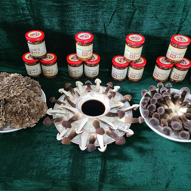 四川特产黑皮鸡枞菌新鲜鸡枞菌农产品食用菌煲汤食材