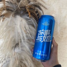 瓶装啤酒 美酒佳酿 精酿啤酒厂 啤酒批发