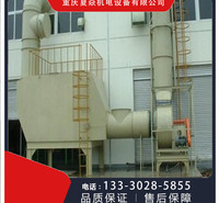 重庆PP活性炭吸附塔厂家-重庆PP活性炭吸附塔制造厂家-选夏焱环保