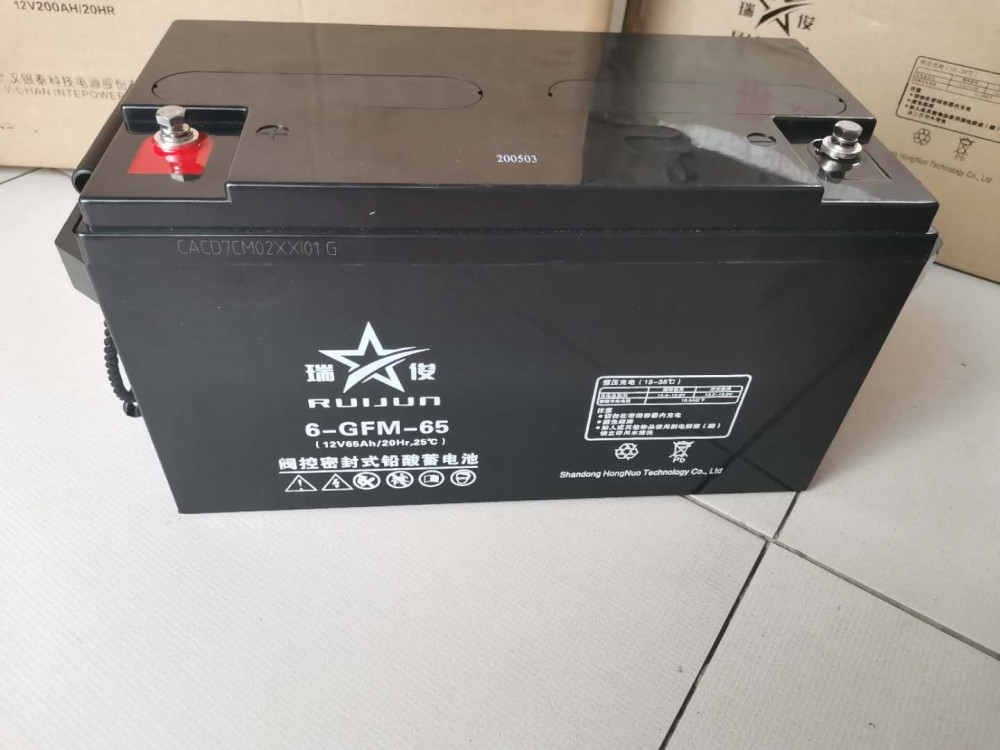 济宁梁山蓄电池 瑞俊蓄电池6-GFM-17 12V17AH免维护储能铅酸蓄电池