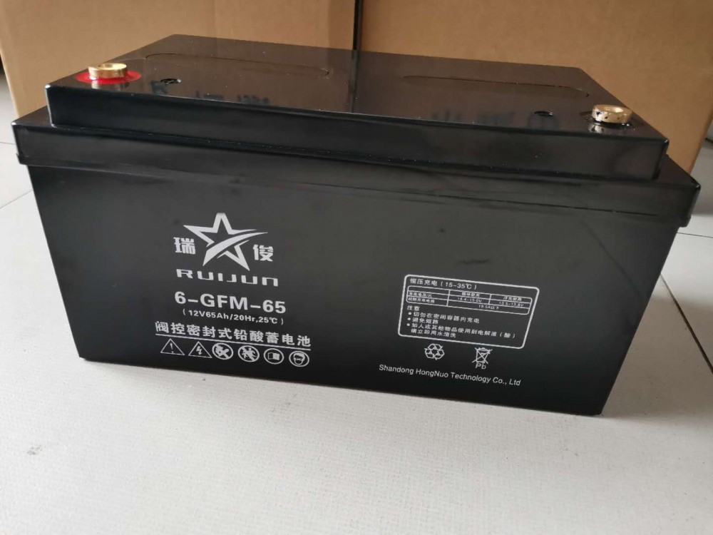 济宁梁山蓄电池12V65AH 瑞俊蓄电池6-GFM65 阀控式免维护储能65按时电瓶 UPS 直流屏电池