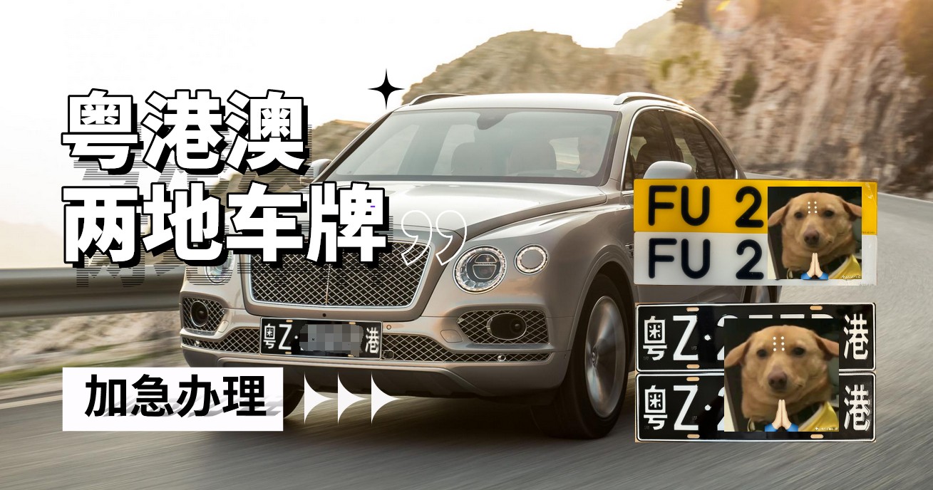 缩略图 2
