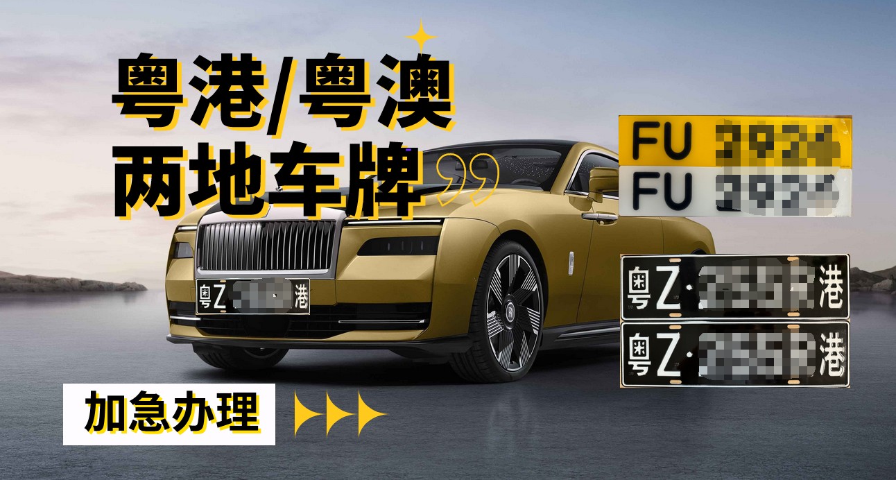缩略图 3