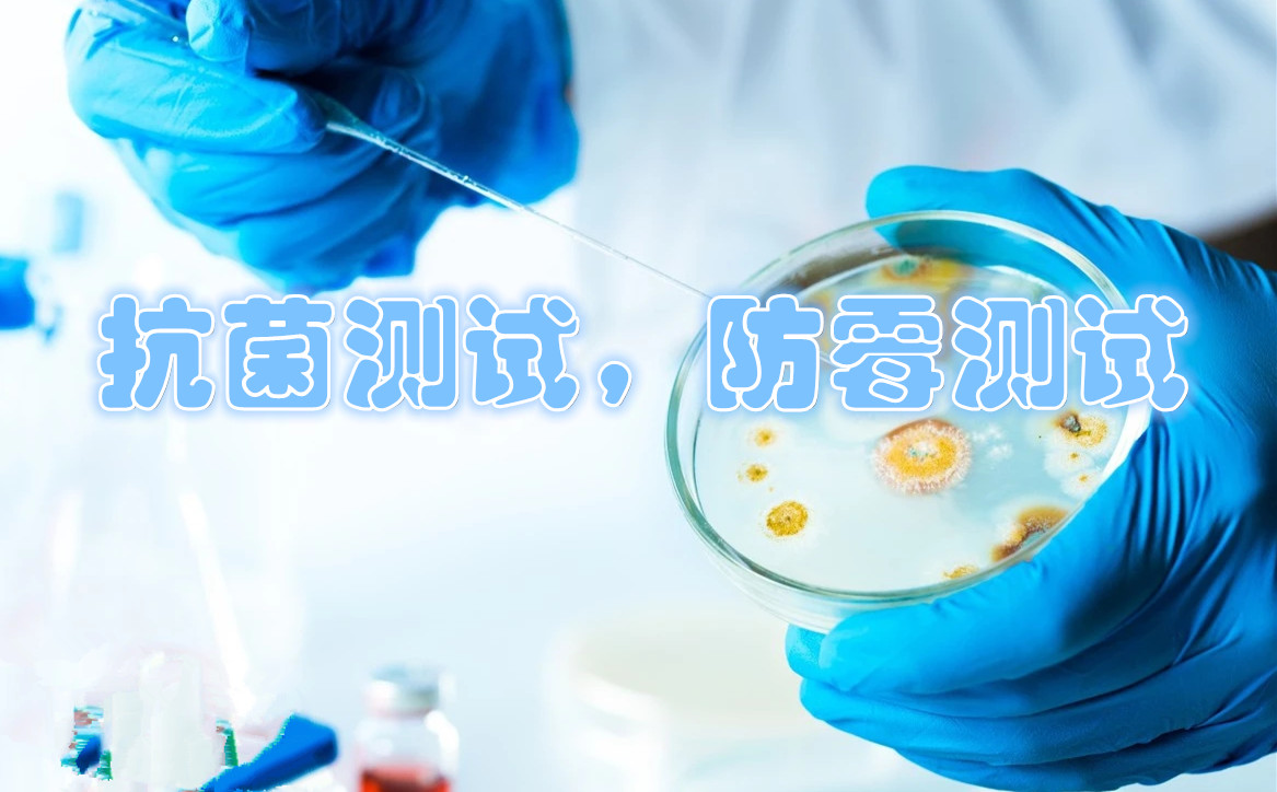 缩略图 3
