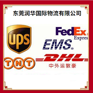 缩略图 3
