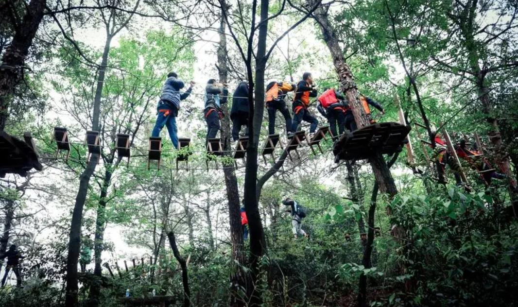 缩略图 8