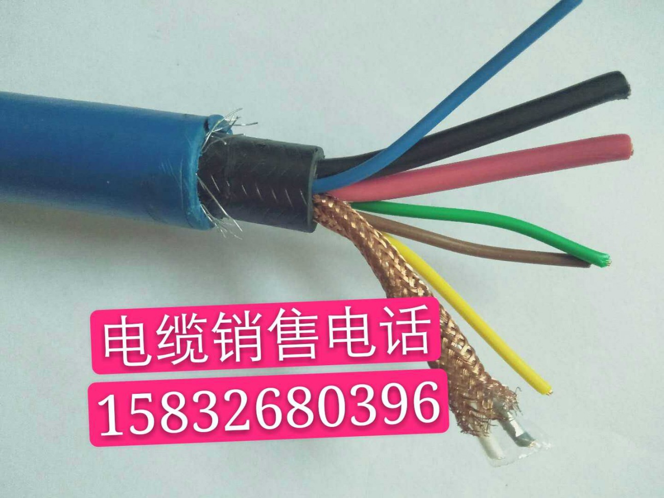 4374715603.jpg
