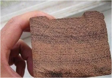 木材种类鉴定、木材检测 树种鉴定服务，分析第三方树种鉴定机构为您服务。