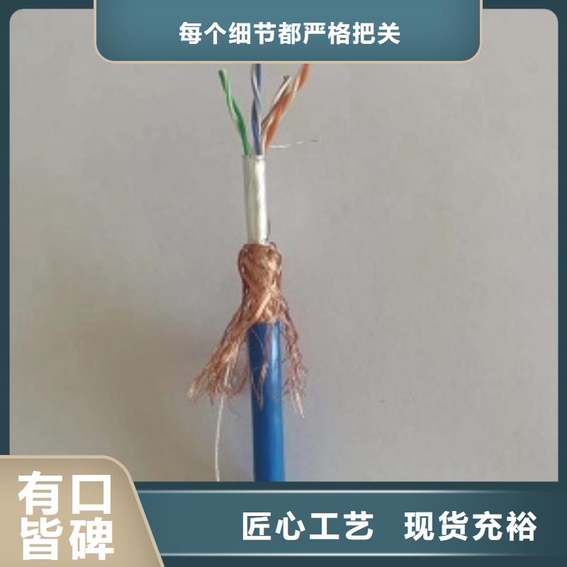 屏蔽聚氯乙烯护套软电缆 RVVP2×1.0