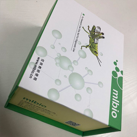 荆豆凝集素(UEA)ELISA试剂盒