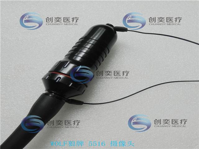 缩略图 5