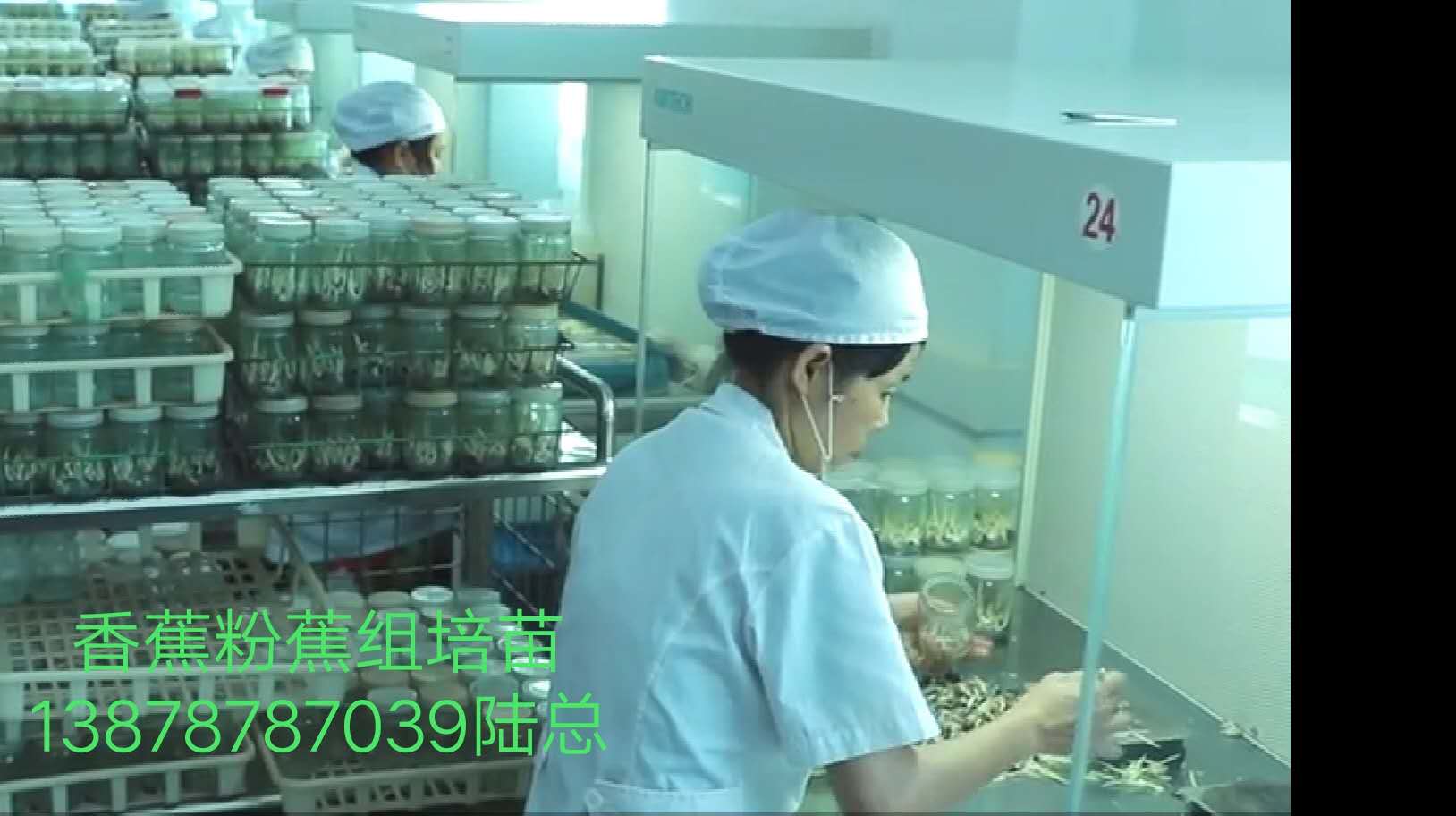 缩略图 5