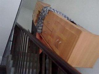 缩略图 2
