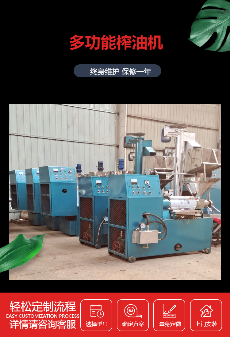 新疆全自动核桃油压榨机 螺旋式花生榨油机 新型大豆油加工设备