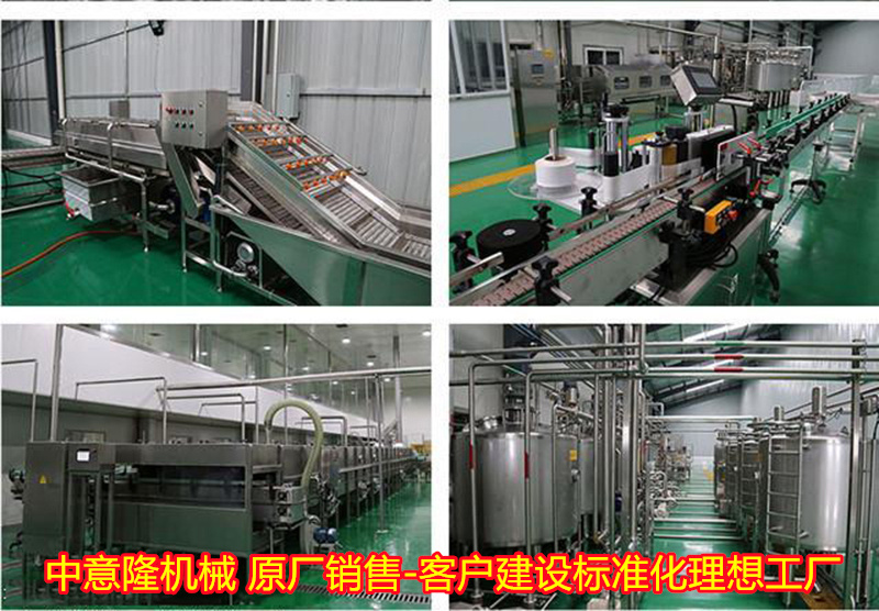 每小时吨黄桃罐头生产线成套设备 水果罐头加工设备