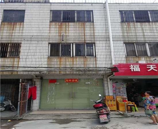 缩略图 6