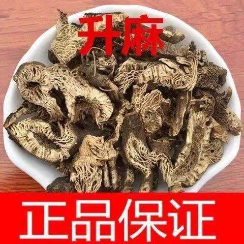 木腰子的药用价值