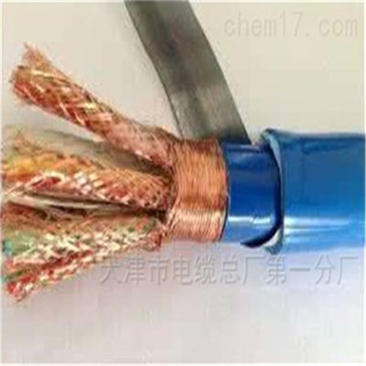 双绞线RVVSP2X1.0