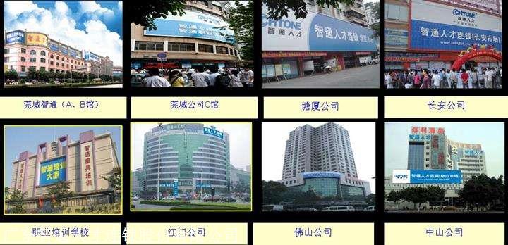缩略图 6