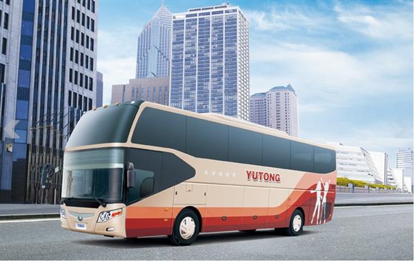 缩略图 5