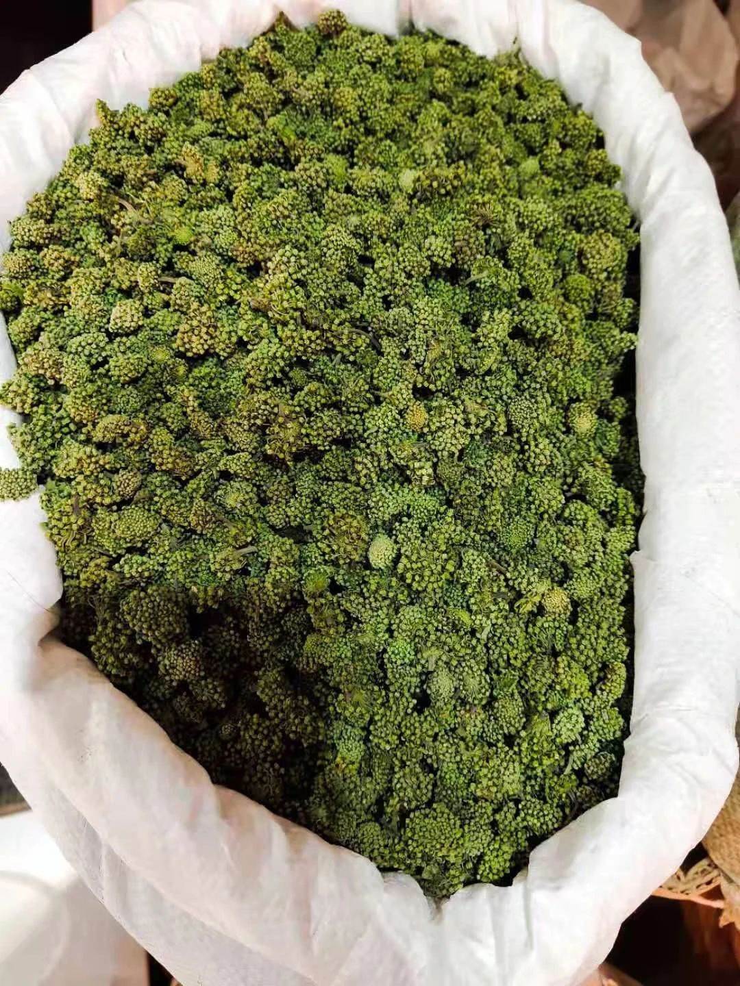 葫芦苗的功效与作用 缩略图 3