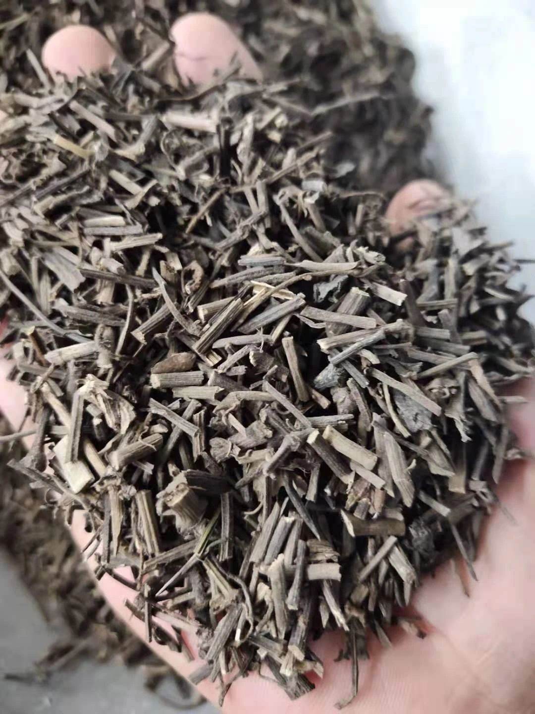 葫芦苗的功效与作用 缩略图 4