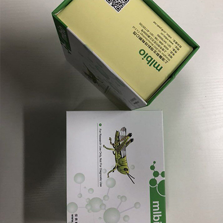人表面膜免疫球蛋白D(mIgD)ELISA试剂盒