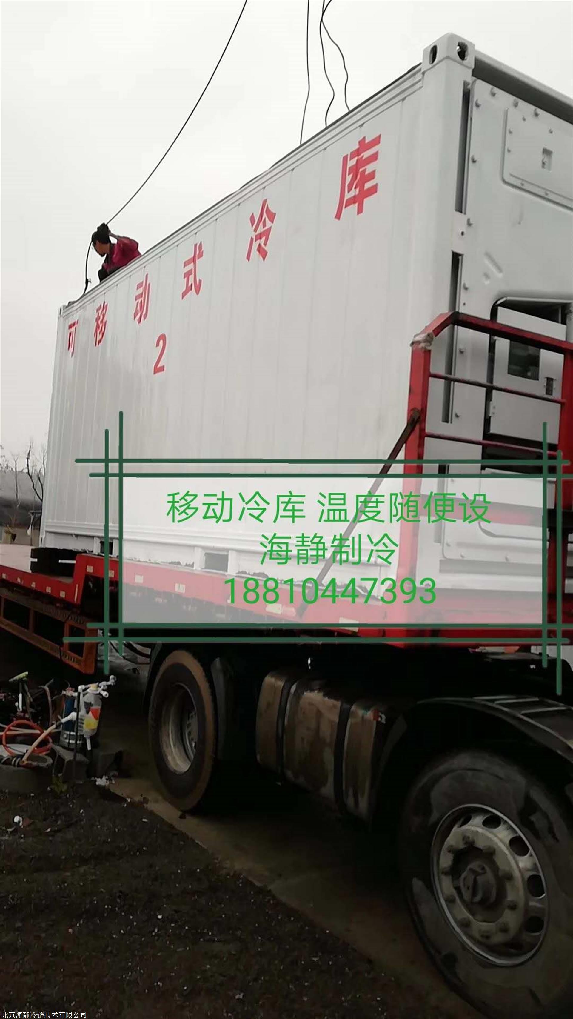 移动式冷库出租 小型一体式集装箱冷库销售 冷冻保鲜冷库