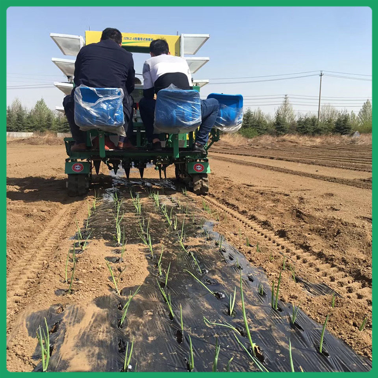 洋葱移栽机华龙移栽机青州移栽机欢迎合作