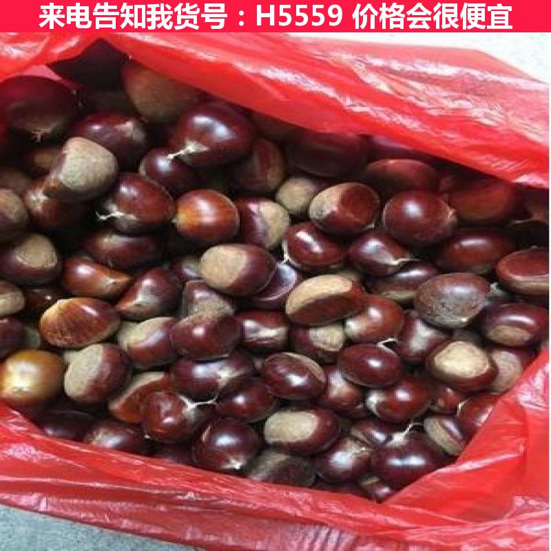 德科板栗脱蓬机风机 大型板栗开口机 小型板栗去毛刺机货号H5559