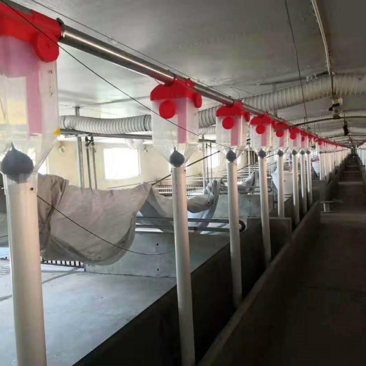 养猪场用自动喂食养殖料线,全自动养殖设备猪舍养殖料线