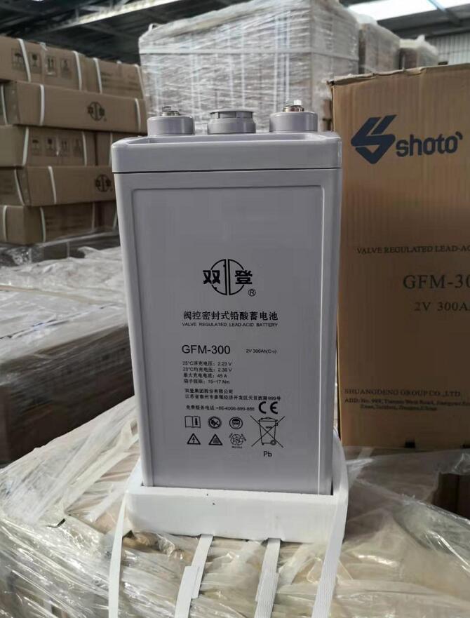 双登蓄电池GFM-300 2V300Ah UPS 直流屏应急设备专用