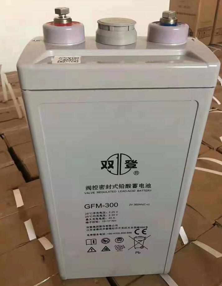 双登蓄电池GFM-300 2V300Ah 通信基站UPS EPS直流屏 太阳能