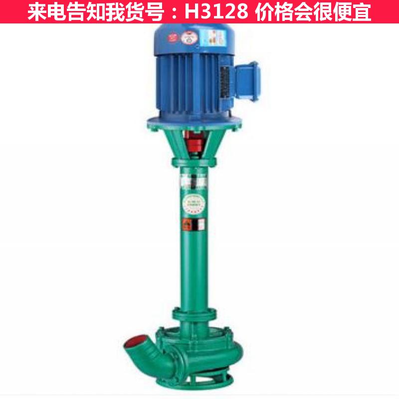 德科立式泥浆泵 污水泥浆泵 卧式泥浆泵货号H3128