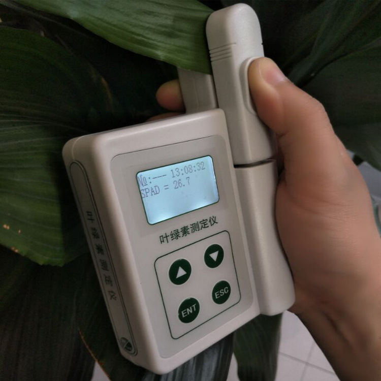 HC-Y200四参数叶绿素测定仪 绿色程度、氮含量、叶面湿度、叶面温度 增加氮肥的利用率