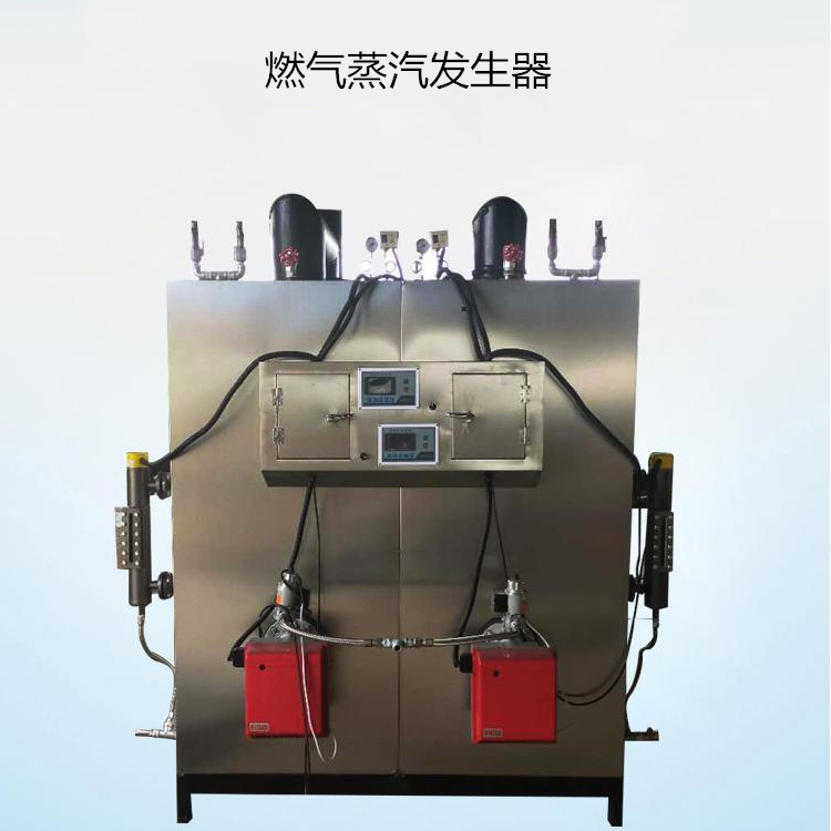 不锈钢商用燃气蒸汽锅炉 学校取暖 消毒用天然气蒸汽发生器 