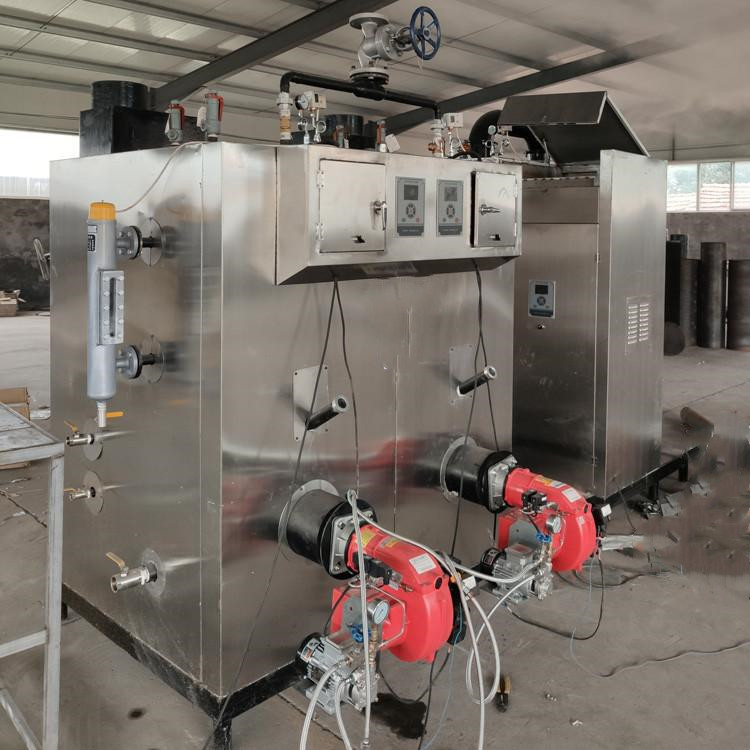 大为蒸汽发生器全自动燃气蒸发器 小型食品加工燃气蒸汽锅炉