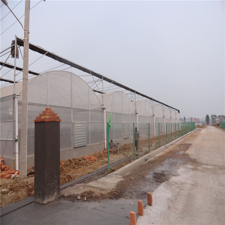 温室大棚定制建造-温室大棚全国承建-山水合温室