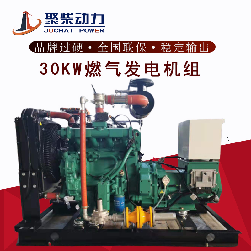 潍柴30/40/50/100/120/150/200/250/300KW/千瓦燃气沼气发电机组