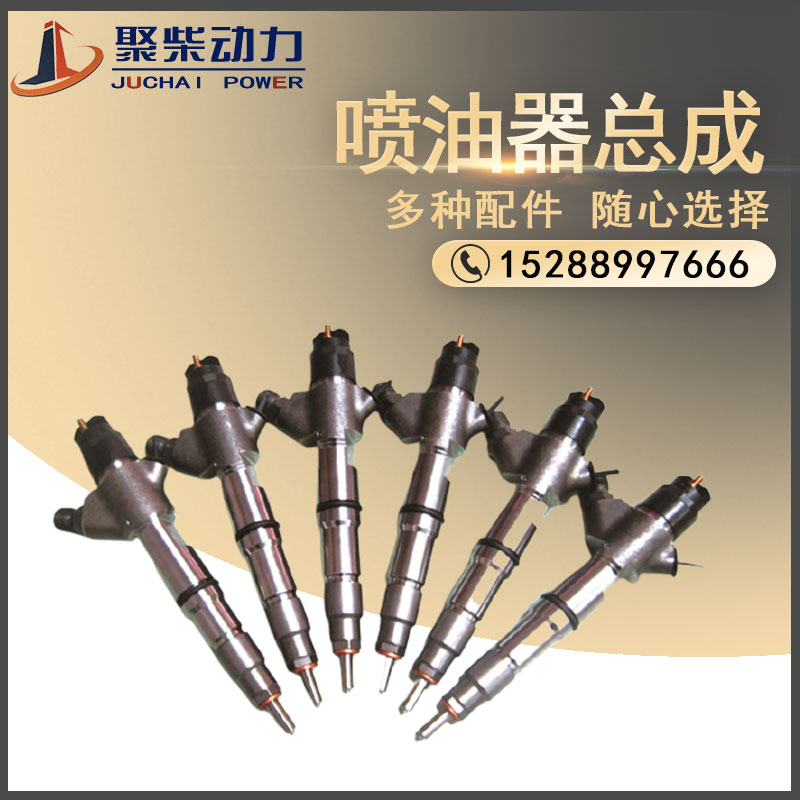 潍坊490/4100/4102/4105/4105/6105/615/618柴油机喷油器总成配件